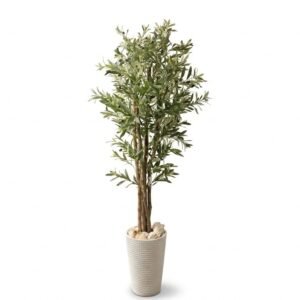 Olivo Artificial Premium