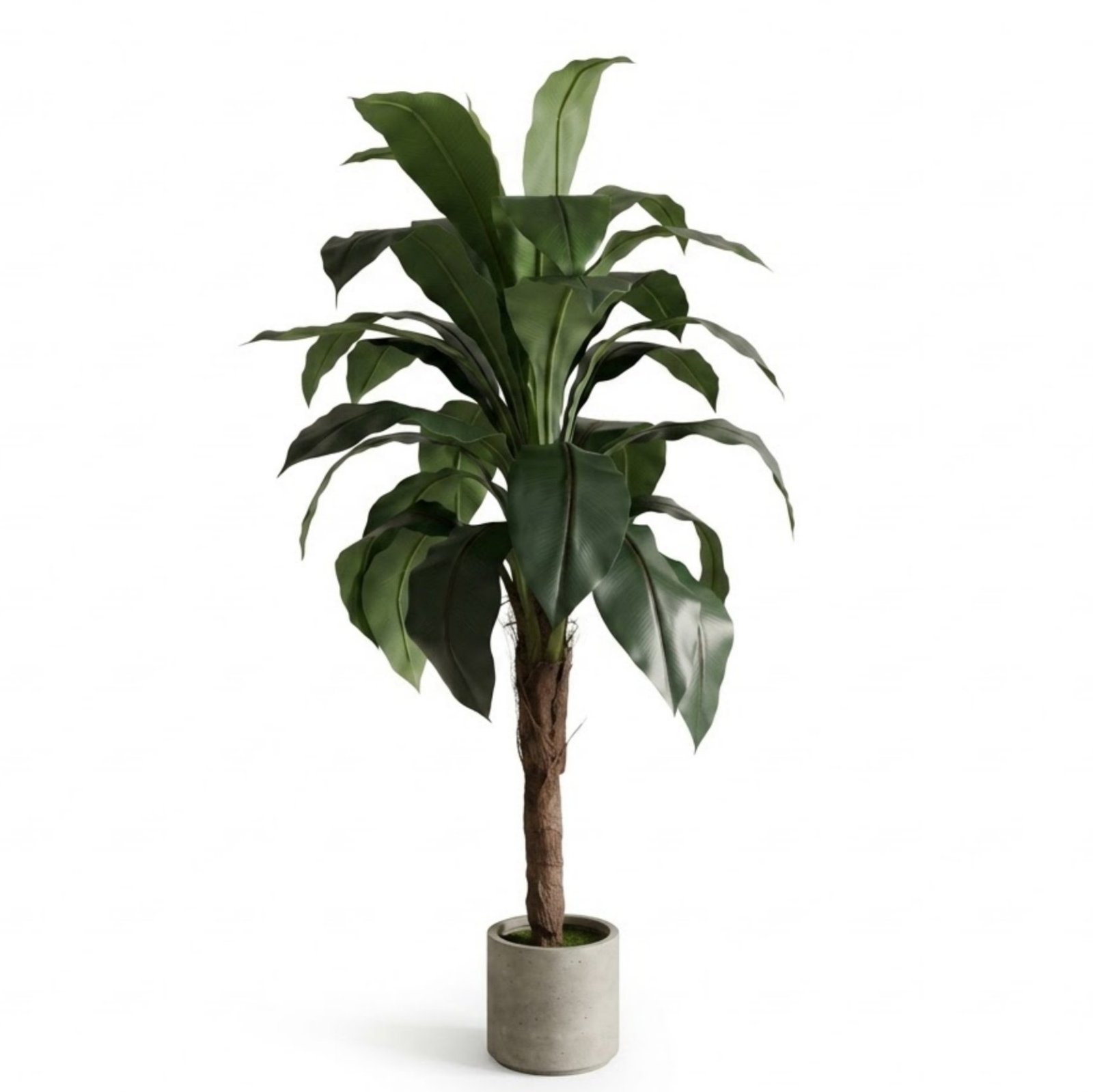 Planta Artificial