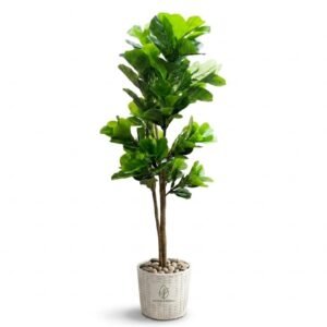 Planta Artificial